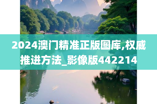 2024澳门精准正版图库,权威推进方法_影像版442214