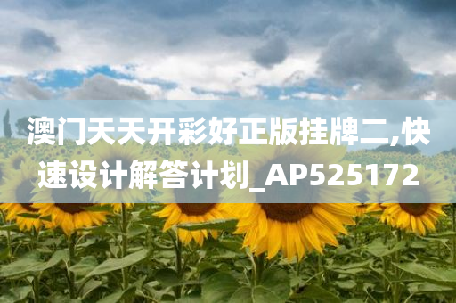 澳门天天开彩好正版挂牌二,快速设计解答计划_AP525172