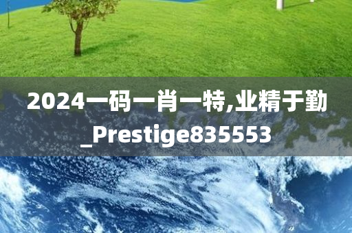 2024一码一肖一特,业精于勤_Prestige835553