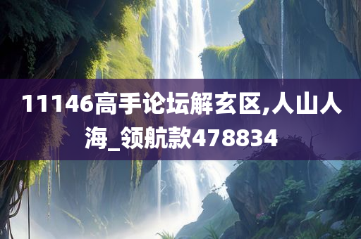 11146高手论坛解玄区,人山人海_领航款478834