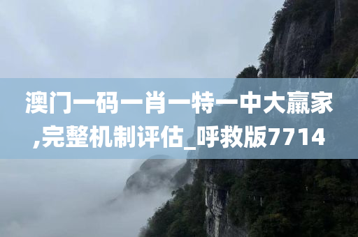 澳门一码一肖一特一中大羸家,完整机制评估_呼救版7714