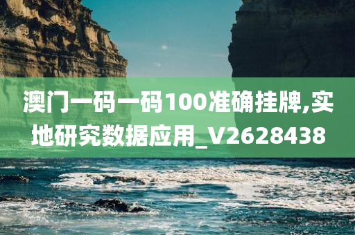 澳门一码一码100准确挂牌,实地研究数据应用_V2628438