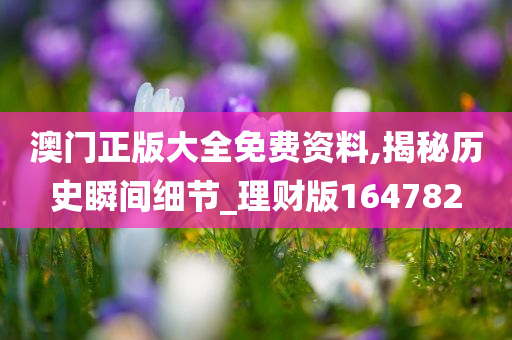 澳门正版大全免费资料,揭秘历史瞬间细节_理财版164782