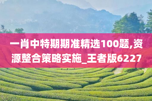 一肖中特期期准精选100题,资源整合策略实施_王者版6227