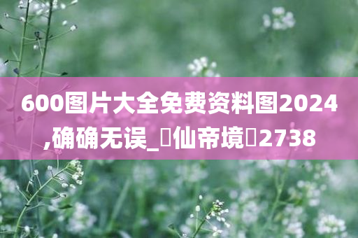 600图片大全免费资料图2024,确确无误_?仙帝境?2738