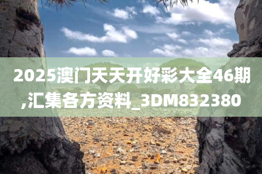 2025澳门天天开好彩大全46期,汇集各方资料_3DM832380