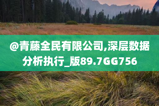 @青藤全民有限公司,深层数据分析执行_版89.7GG756