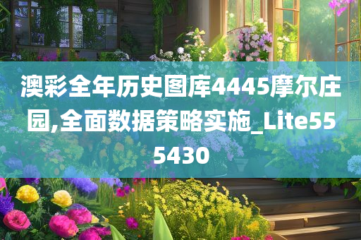 澳彩全年历史图库4445摩尔庄园,全面数据策略实施_Lite555430
