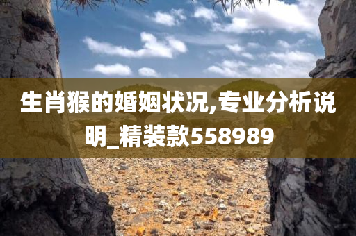 生肖猴的婚姻状况,专业分析说明_精装款558989
