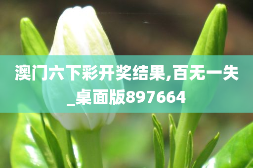 澳门六下彩开奖结果,百无一失_桌面版897664