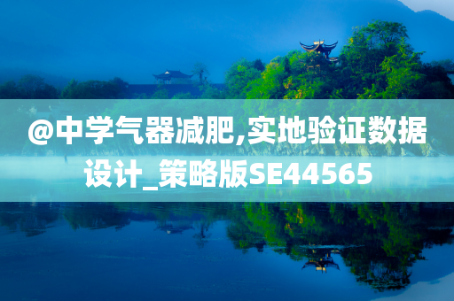 @中学气器减肥,实地验证数据设计_策略版SE44565