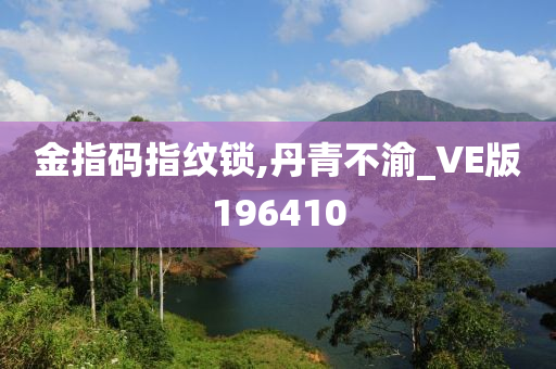 金指码指纹锁,丹青不渝_VE版196410