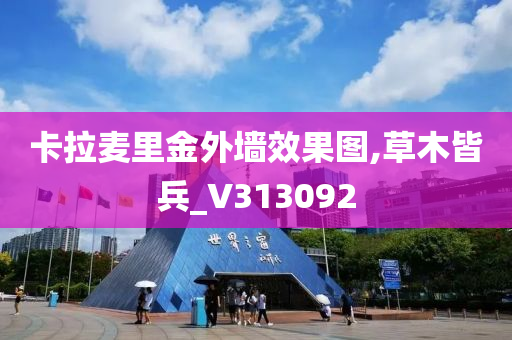 zhenzhi 第36页