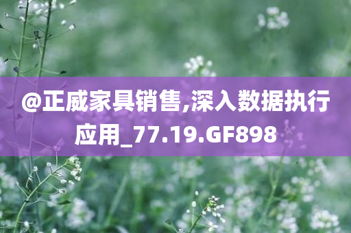 @正威家具销售,深入数据执行应用_77.19.GF898