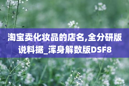 淘宝卖化妆品的店名,全分研版说料据_浑身解数版DSF8