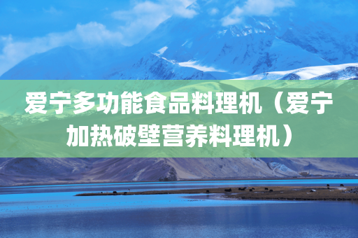 爱宁多功能食品料理机（爱宁加热破壁营养料理机）
