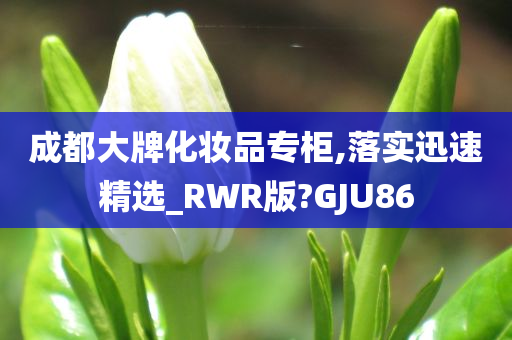 成都大牌化妆品专柜,落实迅速精选_RWR版?GJU86
