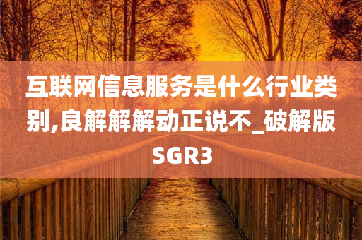 互联网信息服务是什么行业类别,良解解解动正说不_破解版SGR3