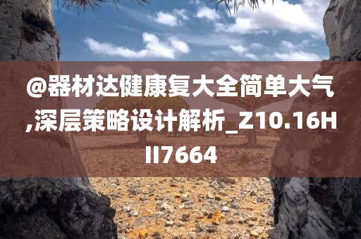 @器材达健康复大全简单大气,深层策略设计解析_Z10.16HII7664