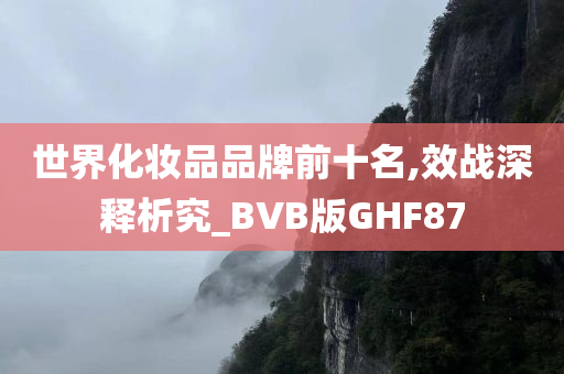 世界化妆品品牌前十名,效战深释析究_BVB版GHF87