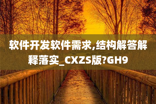 软件开发软件需求,结构解答解释落实_CXZS版?GH9
