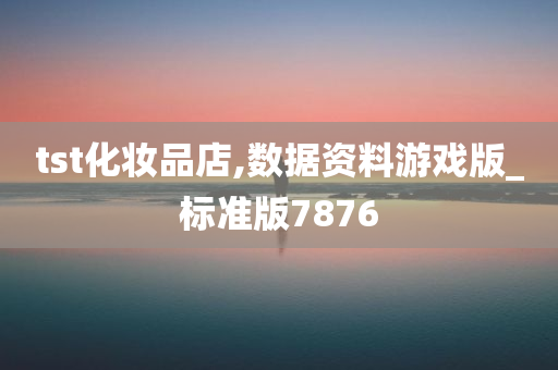 tst化妆品店,数据资料游戏版_标准版7876
