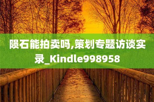 陨石能拍卖吗,策划专题访谈实录_Kindle998958