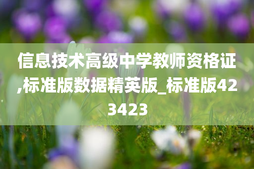 信息技术高级中学教师资格证,标准版数据精英版_标准版423423