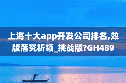 上海十大app开发公司排名,效版落究析领_挑战版?GH489