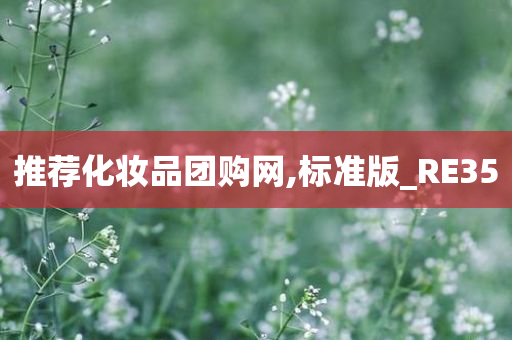 推荐化妆品团购网,标准版_RE35