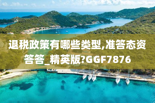退税政策有哪些类型,准答态资答答_精英版?GGF7876