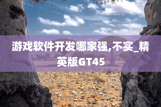 游戏软件开发哪家强,不实_精英版GT45