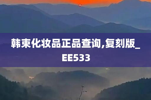 韩束化妆品正品查询,复刻版_EE533