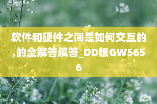 软件和硬件之间是如何交互的,的全解答解答_DD版GW5656