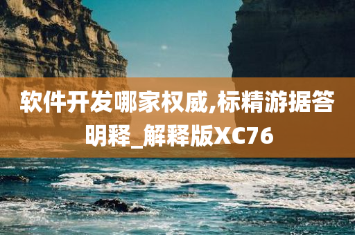 软件开发哪家权威,标精游据答明释_解释版XC76