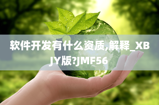 软件开发有什么资质,解释_XBJY版?JMF56