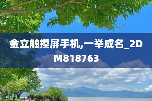 金立触摸屏手机,一举成名_2DM818763