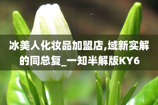 冰美人化妆品加盟店,域新实解的同总复_一知半解版KY6