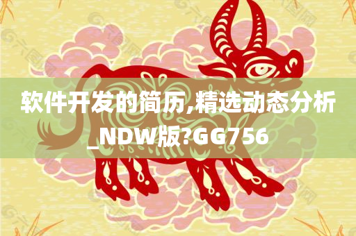 软件开发的简历,精选动态分析_NDW版?GG756