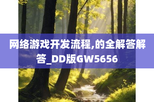 网络游戏开发流程,的全解答解答_DD版GW5656