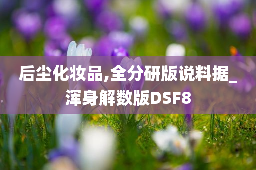 后尘化妆品,全分研版说料据_浑身解数版DSF8