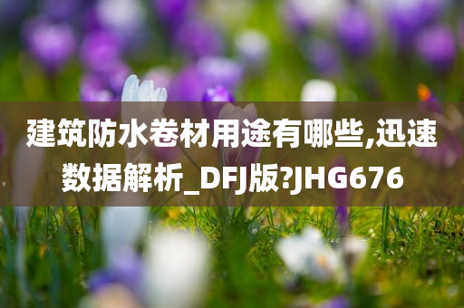 建筑防水卷材用途有哪些,迅速数据解析_DFJ版?JHG676