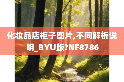 化妆品店柜子图片,不同解析说明_BYU版?NF8786