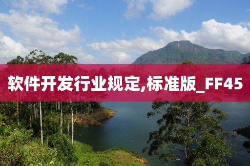 软件开发行业规定,标准版_FF45