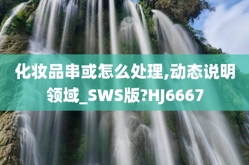 化妆品串或怎么处理,动态说明领域_SWS版?HJ6667