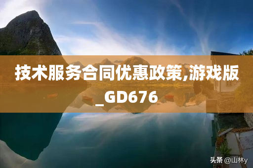 技术服务合同优惠政策,游戏版_GD676
