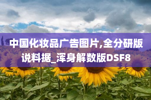 中国化妆品广告图片,全分研版说料据_浑身解数版DSF8