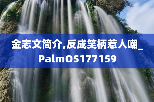 金志文简介,反成笑柄惹人嘲_PalmOS177159