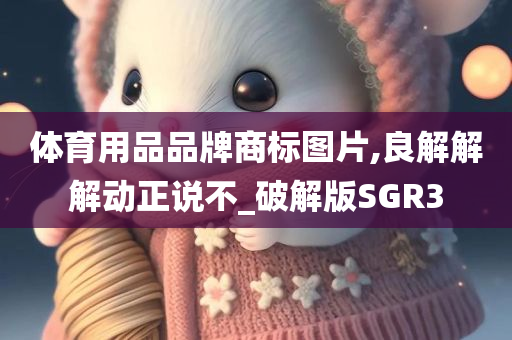体育用品