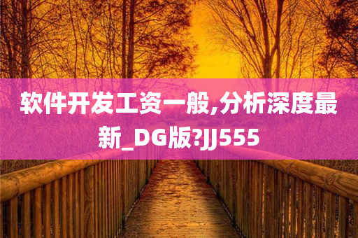 软件开发工资一般,分析深度最新_DG版?JJ555